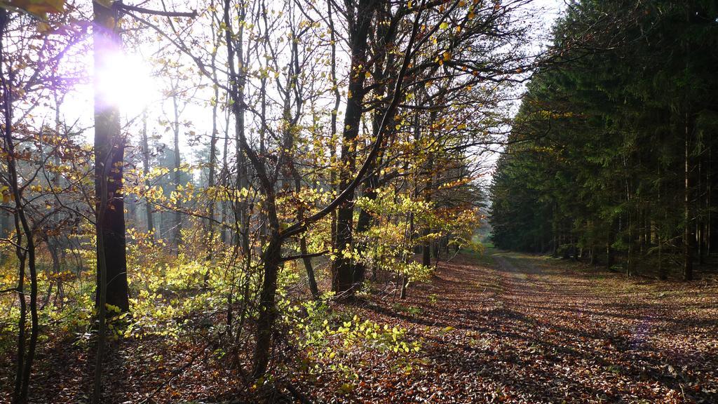 Villa Sous-Bois Marie สปา ภายนอก รูปภาพ